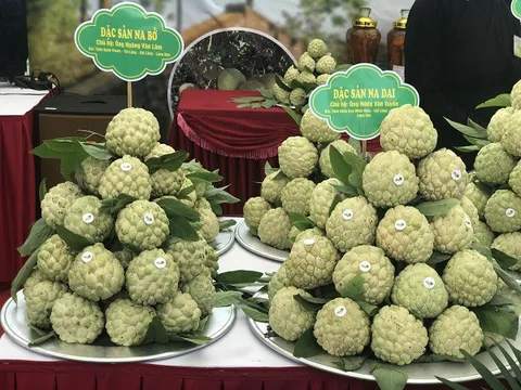 Lạng Sơn đặt mục tiêu năm 2030 có 50% người dân dùng tài khoản thanh toán điện tử