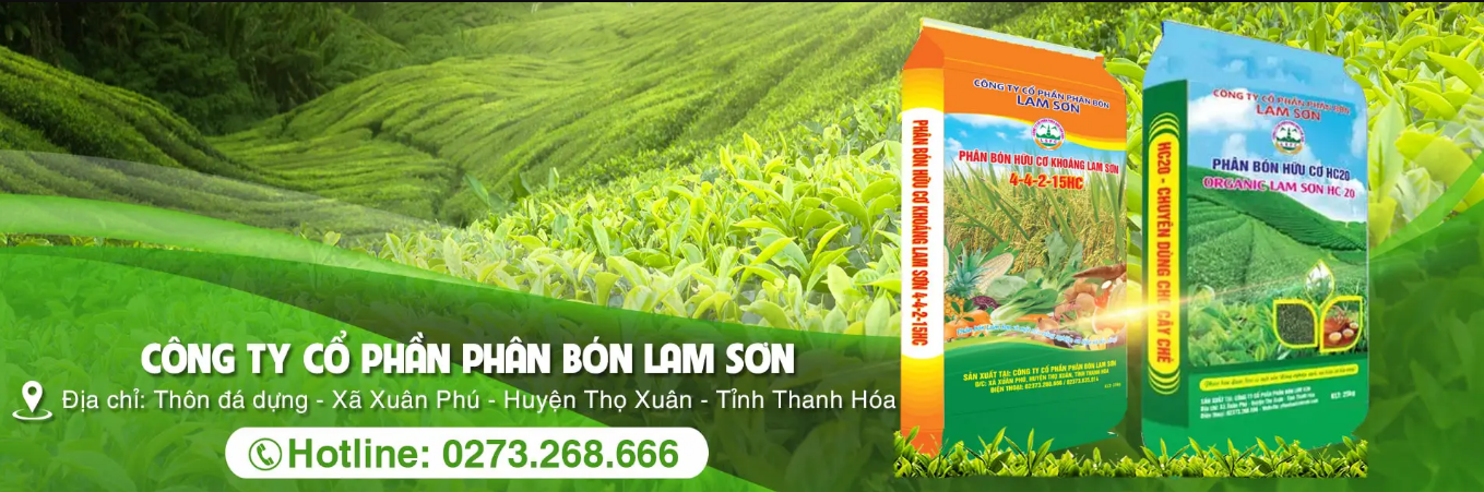 hinh-6-phan-bon-lam-son-03-1678958396.png