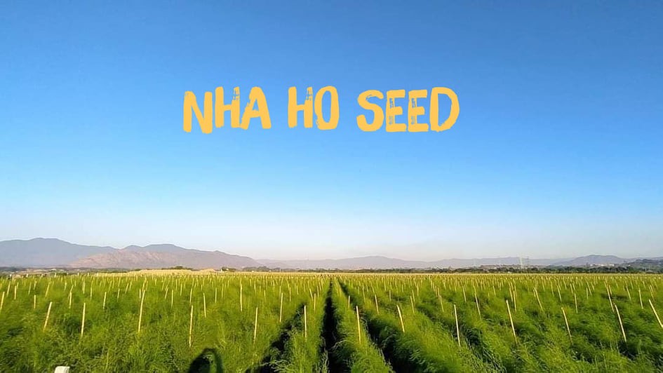 hinh-2-nha-ho-seed-1679288254.jpg
