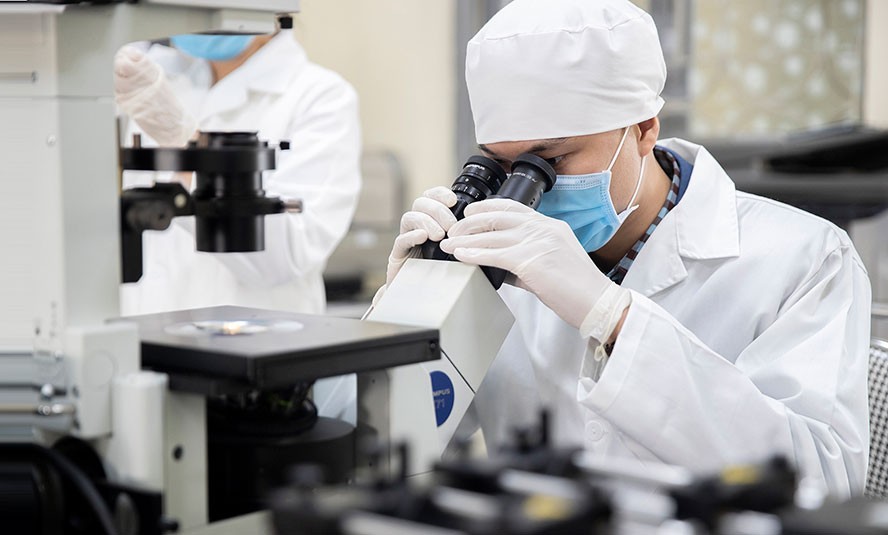 Hoạt động hội viên hiệp hội nổi bật