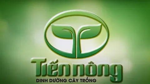 Công ty Cổ phần Công Nông nghiệp Tiến Nông - "Giải pháp vàng cho mùa dứa năng suất"