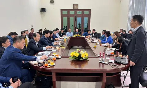 Thúc đẩy hợp tác chuyển giao công nghệ giữa doanh nghiệp Việt Nam và doanh nghiệp Nhật Bản, Hàn Quốc
