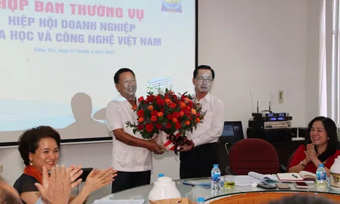 Giới thiệu Hiệp hội Doanh nghiệp khoa học và công nghệ Việt Nam