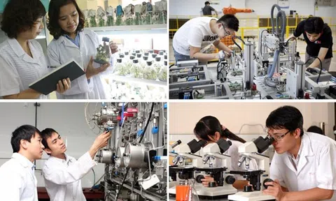 Quyết định về việc thành lập Hội đồng Cố vấn Hiệp hội Doanh nghiệp Khoa học và Công nghệ Việt Nam