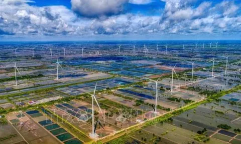 Đổi mới sáng tạo xanh cho mục tiêu phát triển bền vững