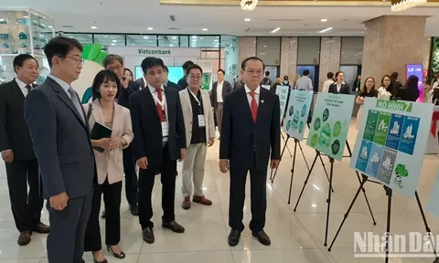 Hội thảo RTD 2024, tìm hướng thúc đẩy hành động bền vững