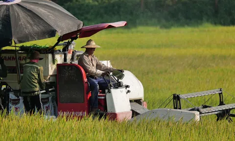 60% công nghệ bảo quản sau thu hoạch ở mức đơn giản