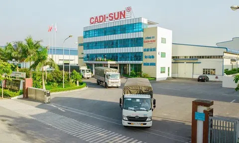 CADI-SUN dồn sức sản xuất, kịp thời đáp ứng đơn hàng cuối năm