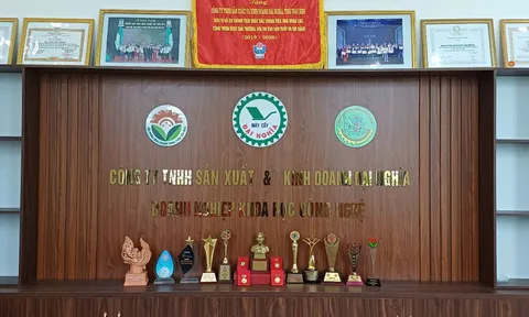 MÁY CẤY LÚA ĐẠI NGHĨA GIẢI PHÁP CHO NGƯỜI NÔNG DÂN VIỆT