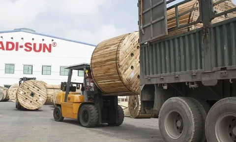 CADI-SUN bàn giao hàng cho Tổng công ty Điện lực TP.HCM, khẳng định uy tín tại thị trường phía Nam