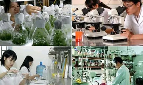 Điều kiện thành lập tổ chức khoa học và công nghệ