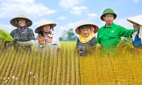 Từ nghèo đói đến cường quốc lương thực