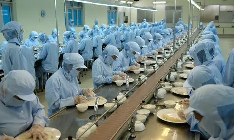 YẾN SÀO KHÁNH HÒA - TÔN VINH DI SẢN, SÁNG MÃI NIỀM TỰ HÀO