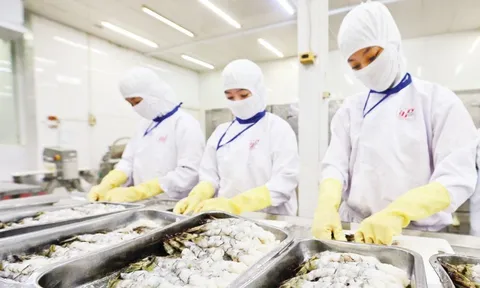 Tăng nguồn lực cho đổi mới sáng tạo bằng cơ chế quỹ