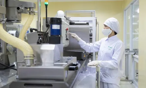 Khoa học, công nghệ thúc đẩy chuyển đổi xanh, phát triển bền vững