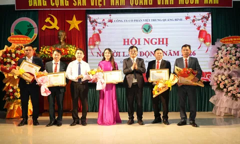 Công ty CP Việt Trung Quảng Bình đạt doanh thu hơn 112 tỉ đồng trong năm 2025