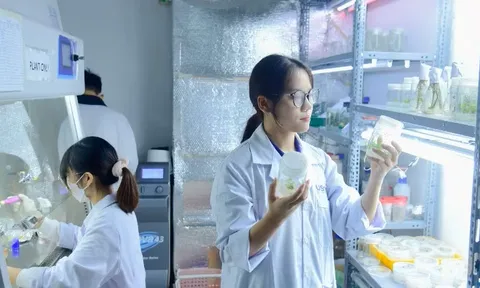 Chuẩn hóa tổ chức, hoạt động Quỹ khoa học, công nghệ và đổi mới sáng tạo từ Trung ương đến địa phương