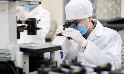 Đầu tư dài hạn cho nghiên cứu cơ bản xuất sắc gắn với công nghệ chiến lược