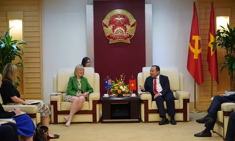 Việt Nam - Australia thúc đẩy hợp tác kinh tế số, công nghệ chiến lược và đổi mới sáng tạo