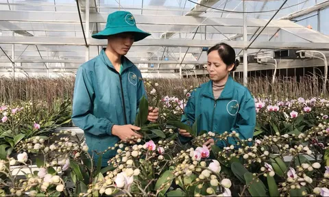 Động lực trung tâm thúc đẩy tăng trưởng