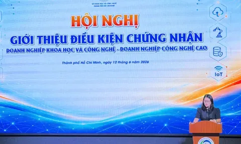 Doanh nghiệp khoa học công nghệ phải bắt đầu từ năng lực, không phải từ hồ sơDoanh nghiệp khoa học công nghệ phải bắt đầu từ năng lực, không phải từ hồ sơ