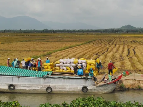 Chính phủ ban hành Chương trình hành động phát triển kinh tế - xã hội vùng đồng bằng sông Cửu Long