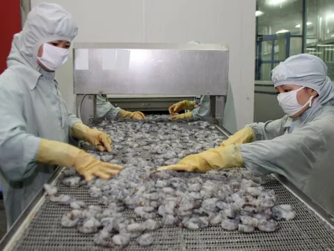 EVFTA - Cơ hội doanh nghiệp Việt Nam xuất khẩu thủy sản trực tiếp vào thị trường Bắc Âu