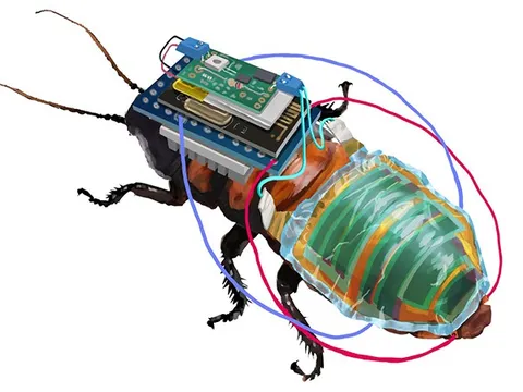 Nhật Bản tạo robot gián