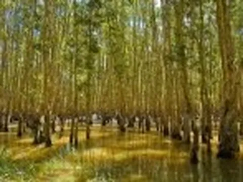 Biến đổi khí hậu khiến nguồn năng lượng tái tạo quan trọng có sẵn gặp rủi ro