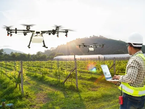 Ứng dụng thiết bị bay không người lái trong nông nghiệp