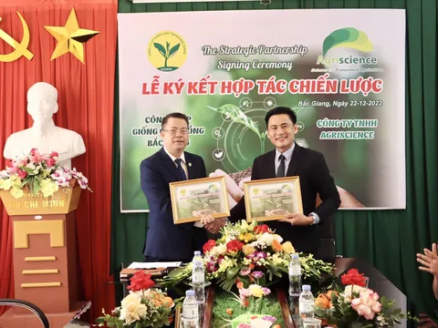 CÔNG TY CỔ PHẦN GIỐNG CÂY TRỒNG BẮC GIANG – HỢP TÁC CÙNG PHÁT TRIỂN