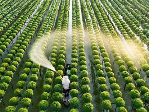 Kỳ vọng "cán mốc" 200 doanh nghiệp nông nghiệp công nghệ cao vào năm 2030