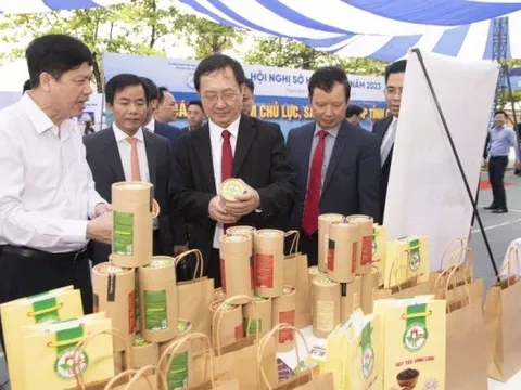 Hội nghị Giám đốc Sở Khoa học và Công nghệ toàn quốc năm 2023 sẽ được tổ chức từ ngày 16-17/3 tại tỉnh Bình Định