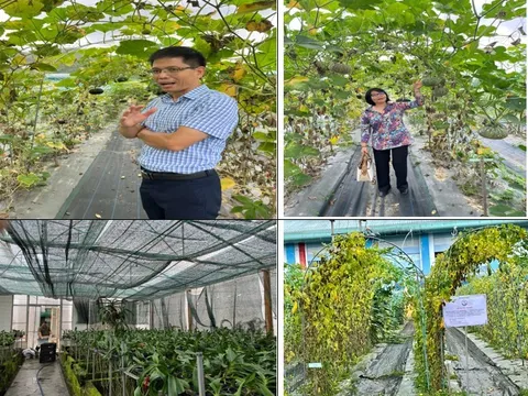 Phát triển hoạt động hội nhập KH&CN quốc tế trong nông nghiệp công nghệ cao và công nghiệp thực phẩm tại khu vực Duyên hải Nam Trung Bộ