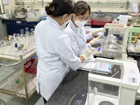 Lộ trình triển khai chuyển đổi số ngành Tiêu chuẩn Đo lường Chất lượng đến năm 2030