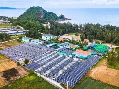 VASTCOM - Đơn vị nuôi trồng Tảo xoắn lớn nhất Việt Nam