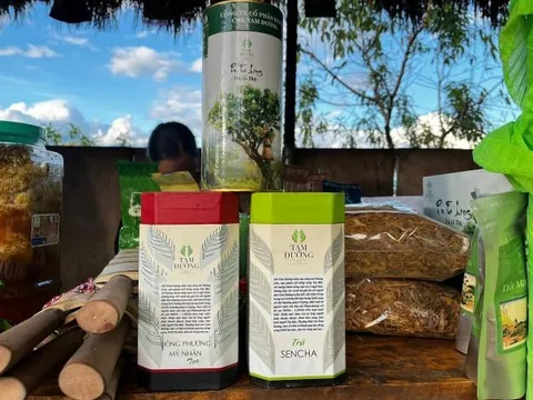 Khai mạc ngày hội khởi nghiệp đổi mới sáng tạo Lai Châu