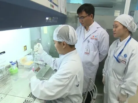 Phó giáo sư Việt nghiên cứu thuốc trị viêm phổi từ tế bào gốc