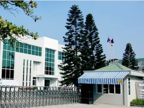 Nâng tầm vị thế sơn Việt