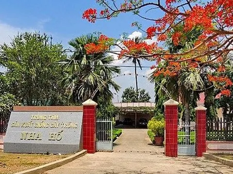 Hạt giống chất lượng - Kiến tạo thịnh vượng