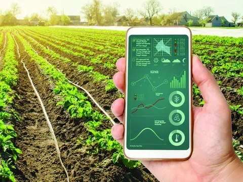 Ngày 11/8, kết nối trực tuyến hỗ trợ tiêu thụ nông sản lên sàn thương mại điện tử