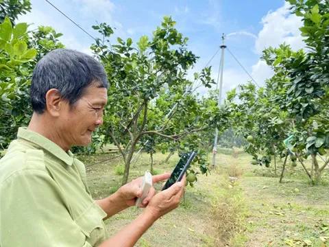 Đưa 9 triệu hộ nông dân lên sàn thương mại điện tử: Không thể nói khơi khơi