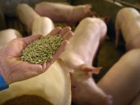 Sản xuất lương thực từ không khí