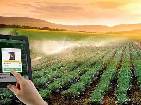 KH&CN góp phần thực hiện tái cơ cấu ngành, lĩnh vực