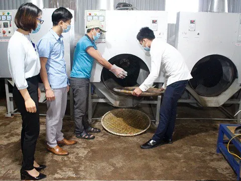 Nghiệm thu đề án “Hỗ trợ ứng dụng máy móc tiên tiến trong chế biến chè cổ thụ”