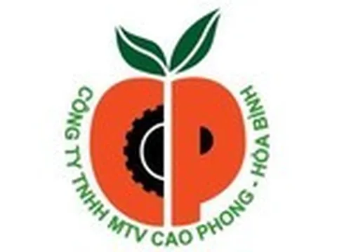 CÔNG TY TNHH MTV CAO PHONG HÒA BÌNH