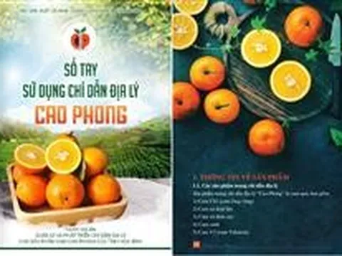 Cam Cao Phong: Nâng cao giá trị từ quản lý và phát triển chỉ dẫn địa lý