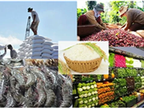 Kiểm soát chặt chẽ các mối nguy gây mất an toàn thực phẩm