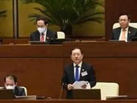 Sửa đổi, bổ sung Luật Sở hữu trí tuệ là yếu tố quan trọng để phát triển kinh tế xã hội