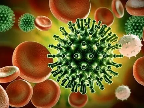 Các bài nghiên cứu mới về COVID-19 từ ngày 29/10 đến ngày 5/11/2021